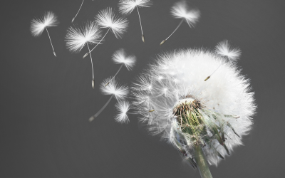 In stillen Gedenken an Mike Böffel